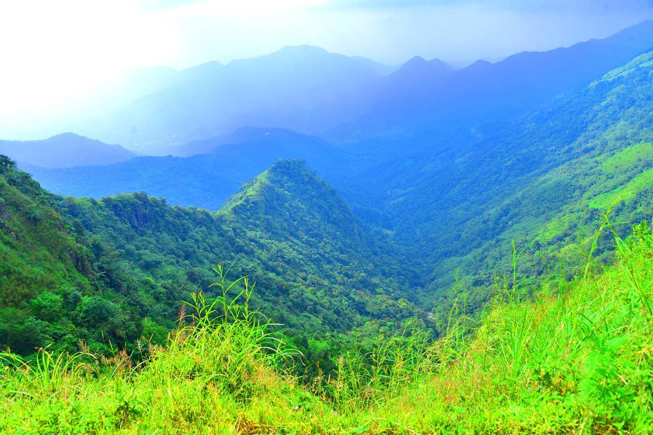 D'Heavenly Mist Resorts Erattupetta Ngoại thất bức ảnh