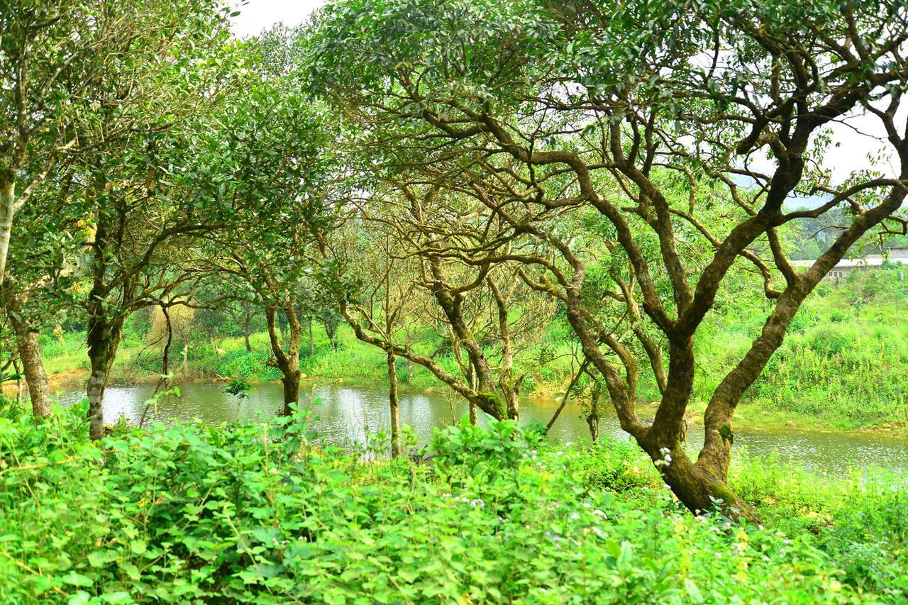D'Heavenly Mist Resorts Erattupetta Ngoại thất bức ảnh